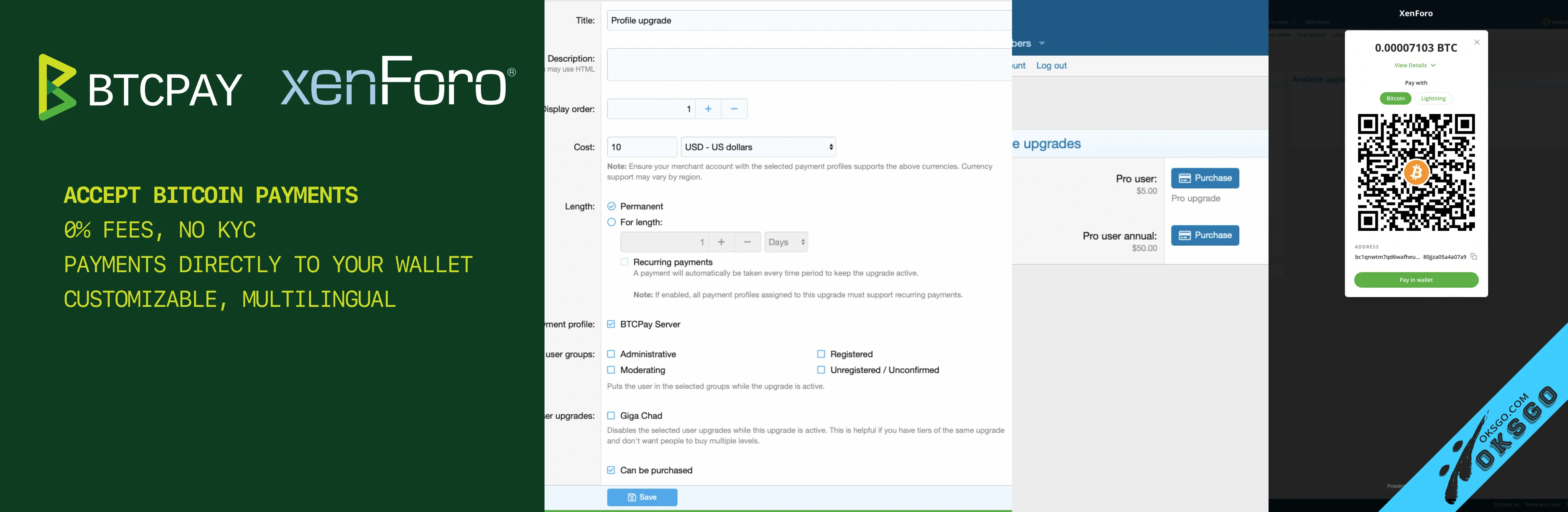 [OKSGO.COM] BTCPay Payment Provider