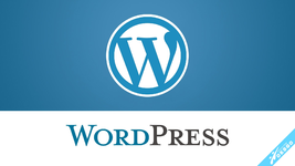 logo-wordpress-2.webp