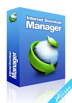 Internet Download Manager Build 7 Mega-1.webp