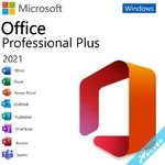 Microsoft Office Professional Plus 2021 VL 版本
