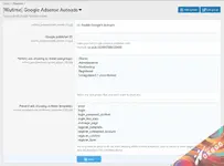 Google Adsense Autoads（高级）