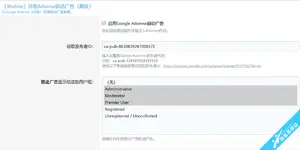 Google Adsense Autoads-简体中文包
