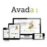 Avada Nulled-WordPress主题